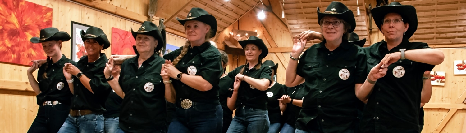 Stepwithboots-Linedance 3