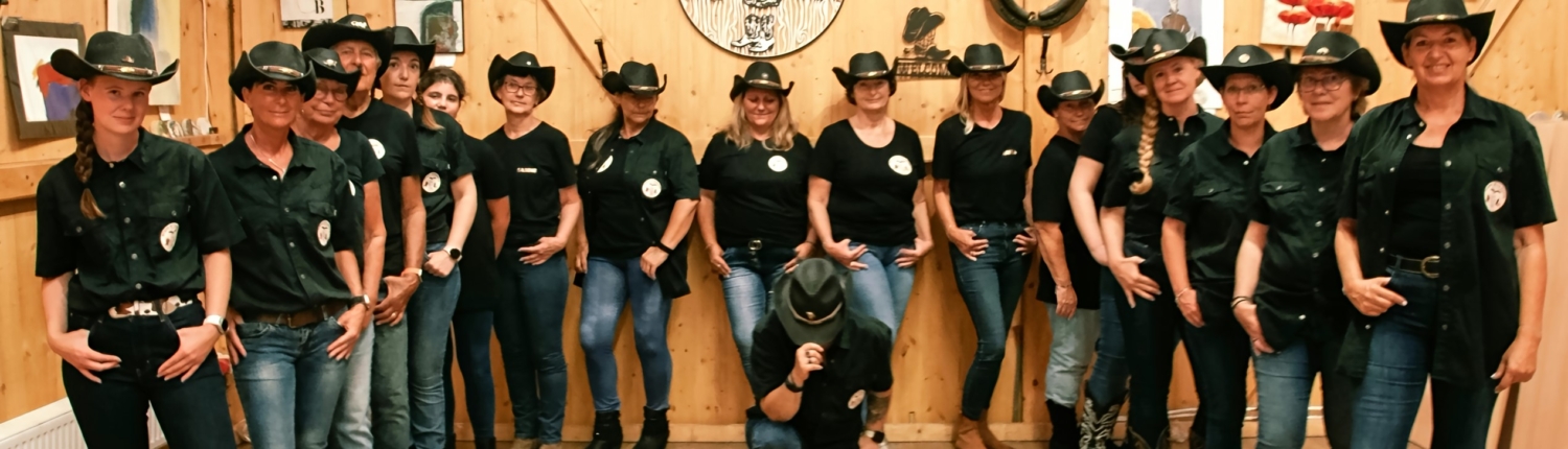 Stepwithboots-Linedance 5